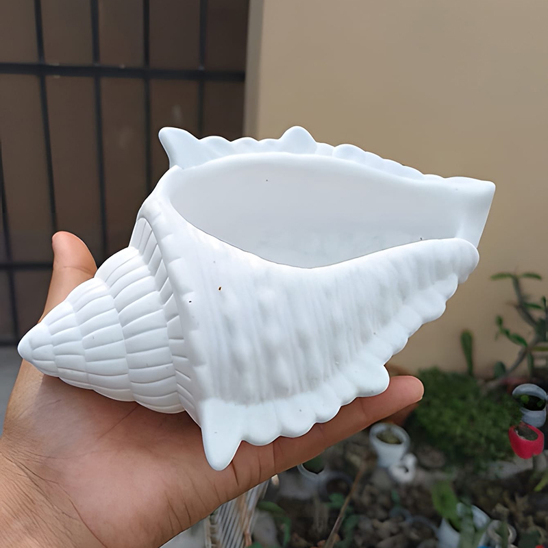 DIY 3D Conch Shaped Silicone C - đánh giá và giá 3D Printing Pot