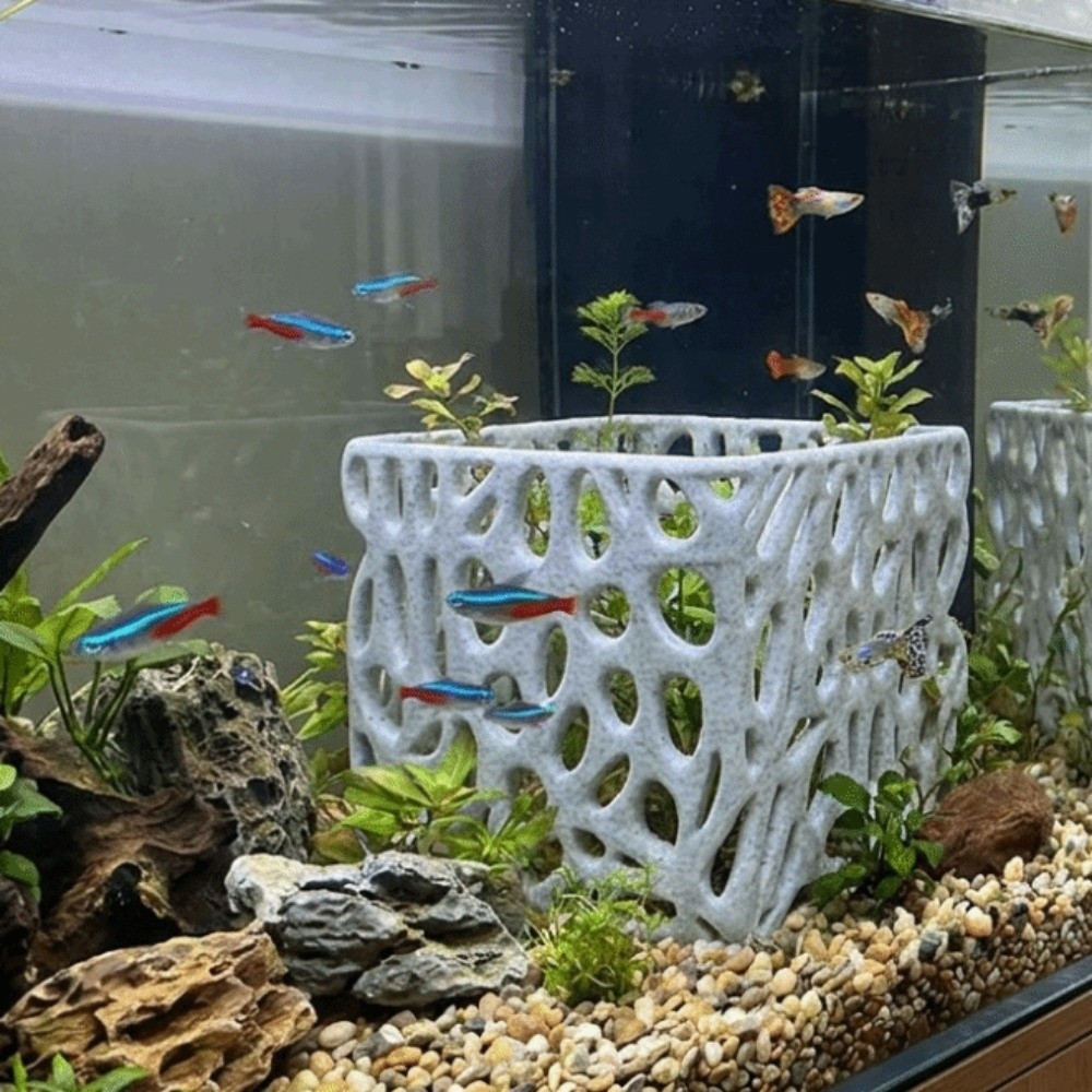 3D Printed Aquarium Planter Po - đánh giá và giá 3D Printing Pot